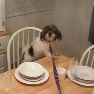 Meet your Posher, London